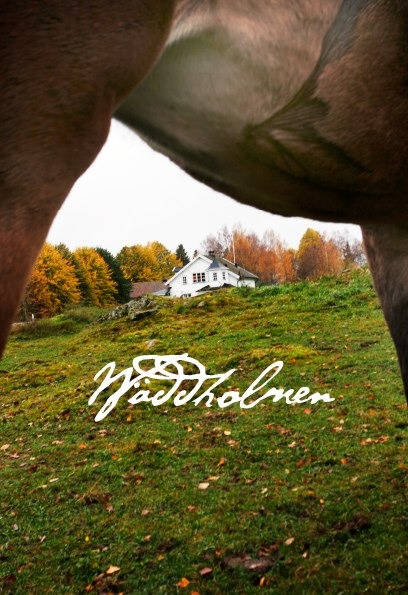 Väddholmen i naturmiljö