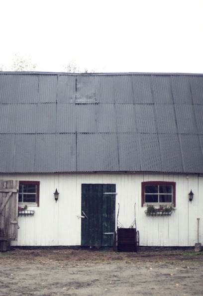 Utskuren bilddel från originalsidan