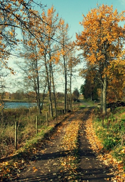 Utskuren bilddel från originalsidan